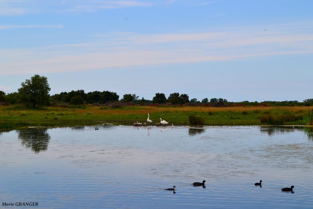 Gite Les Vents Du Large L'Aigrette Le Crotoy Dış mekan fotoğraf